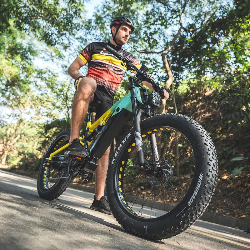 FreedomTrekker E-Bike - 750W BAFANG rear hub motor 