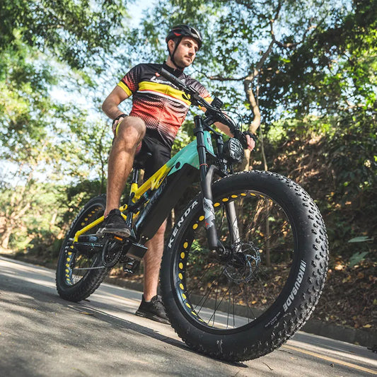 FreedomTrekker E-Bike - 750W BAFANG rear hub motor 
